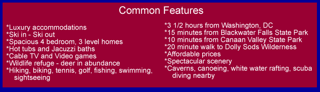 List of common features of our side by side Canaan Valley homes.